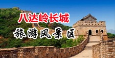 寻乌蜜桔产地中国北京-八达岭长城旅游风景区