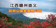 大胸黑白丝美女遭逼视频大全